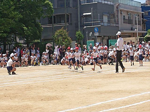 DSC_3591_R.JPG