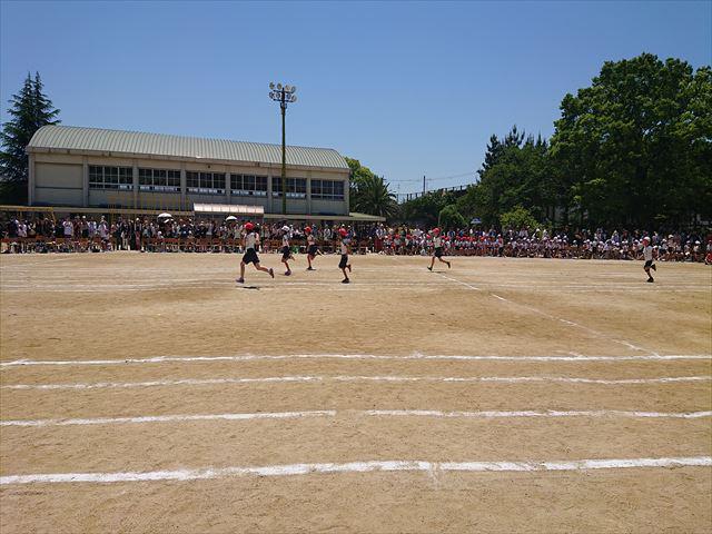 DSC_3598_R.JPG
