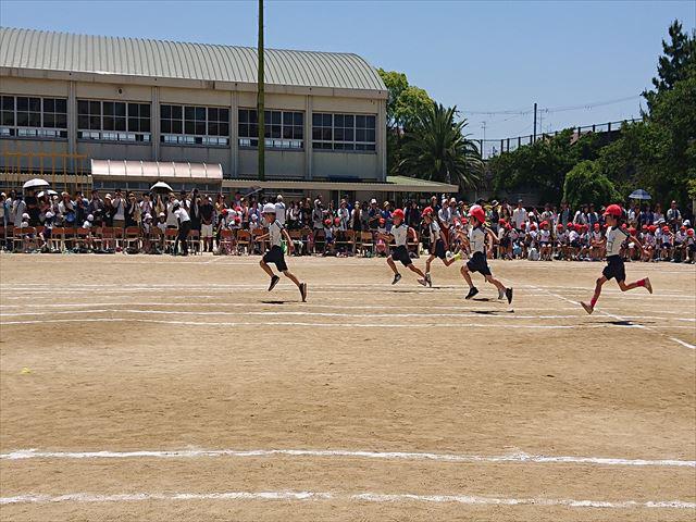 DSC_3600_R.JPG