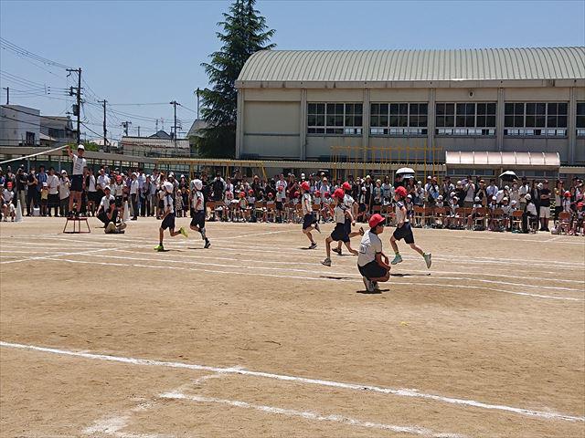 DSC_3604_R.JPG
