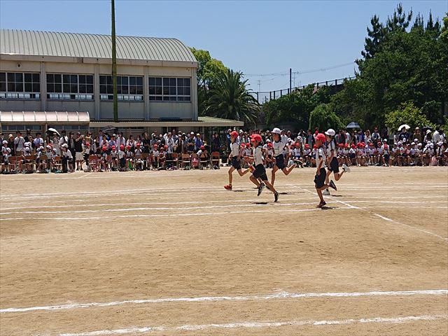 DSC_3606_R.JPG