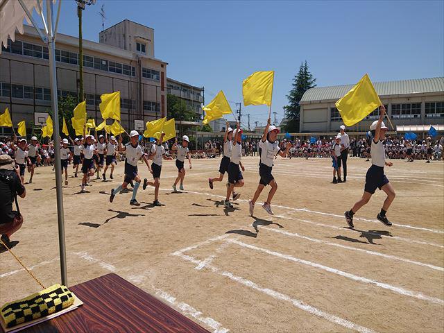 DSC_3621_R.JPG