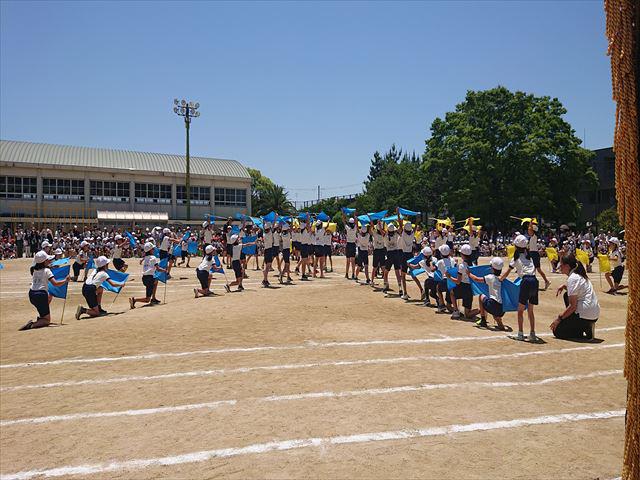 DSC_3647_R.JPG