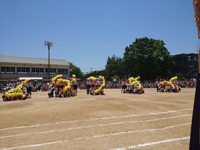 DSC_3667_R.JPG