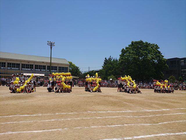 DSC_3671_R.JPG