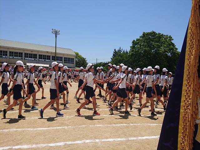 DSC_3687_R.JPG