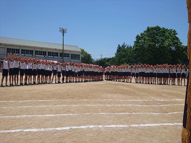 DSC_3697_R.JPG