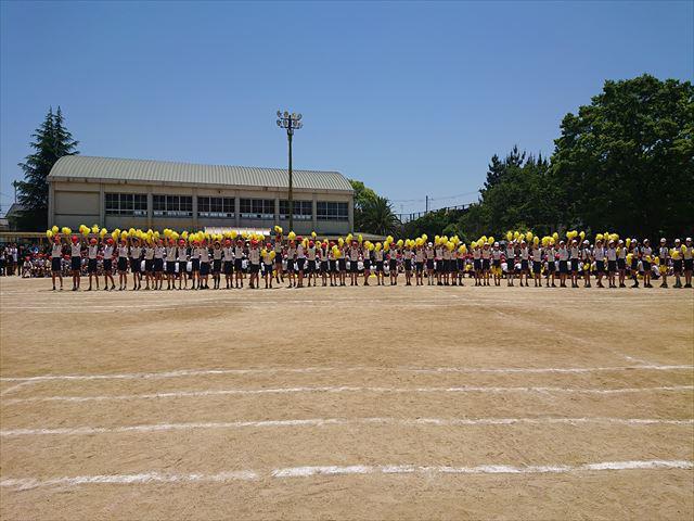 DSC_3731_R.JPG