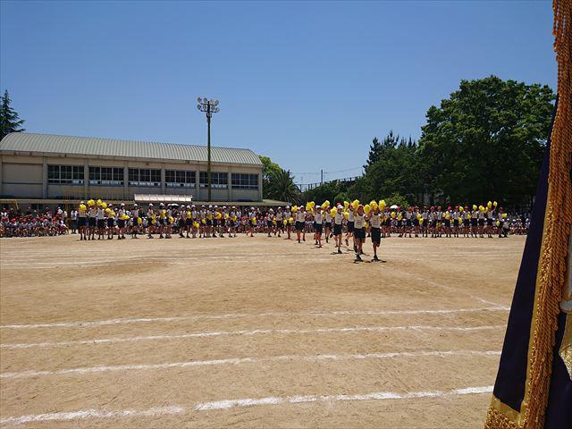 DSC_3736_R.JPG
