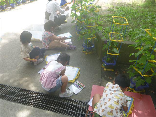 P1060410_R.JPG