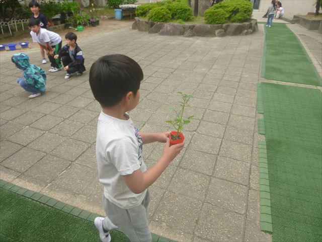 P1080860_R.JPG