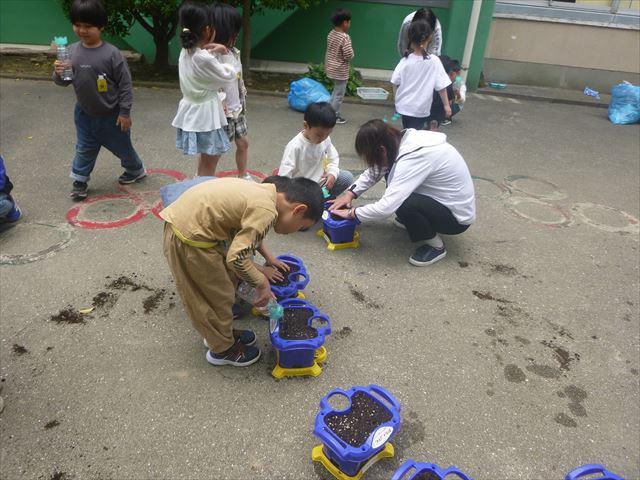 P1080881_R.JPG