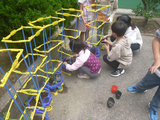 P1080884_R.JPG