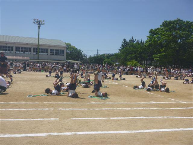 P1090073_R.JPG