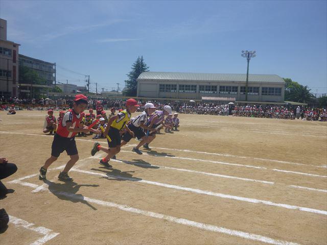 P1090101_R.JPG