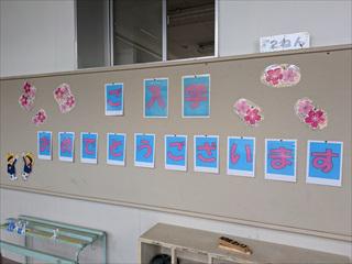 PXL_20250407_234226035_R.jpg