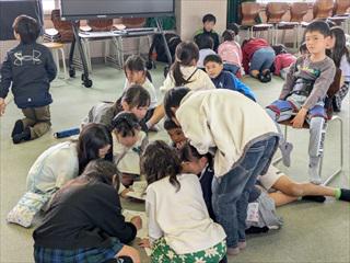 PXL_20250411_010205516_R.jpg