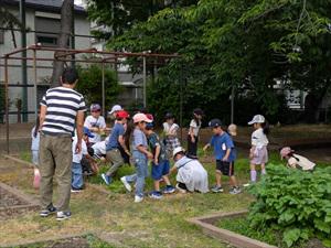 PXL_20250519_001654750_R.jpg