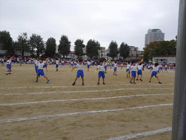 DSC01830_R.JPG