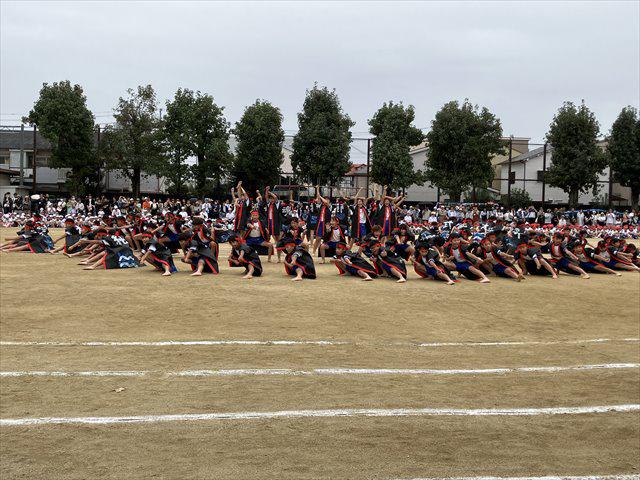 IMG_8995_R.JPG