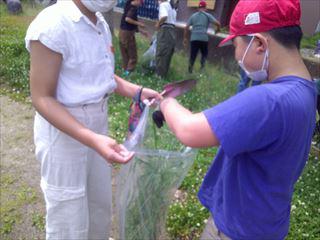 DSCF0097.JPG