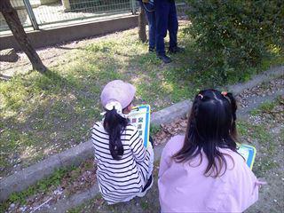 DSCF0463.JPG