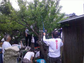 DSCF0493.JPG