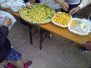 DSCF0496.JPG