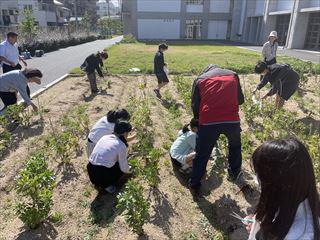 IMG_6632.JPG
