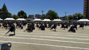 image_50391041_R.JPG