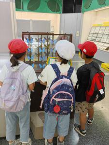 IMG_20260617_102214_R.jpg