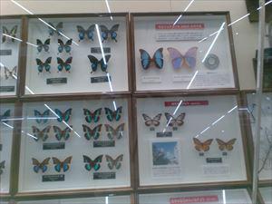IMG_20260617_103646_R.jpg