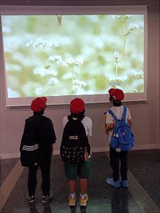 IMG_20260617_104502_R.jpg
