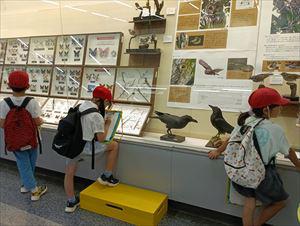 IMG_20260617_105301_1_R.jpg