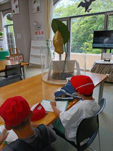 IMG_20260617_110315_R.jpg