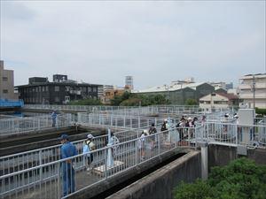 IMG_0533_R.JPG