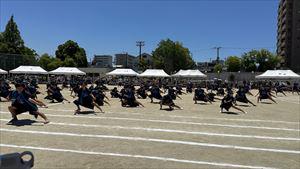 image_50366209_R.JPG