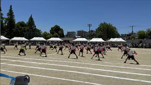 image_50368257_R.JPG