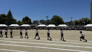image_50374657_R.JPG