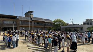 image_50383873_R.JPG