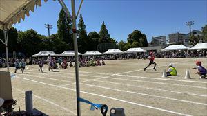 image_50386433_R.JPG