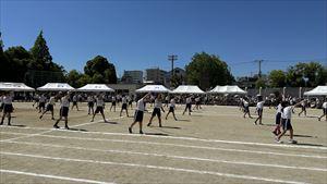 image_50393089_R.JPG