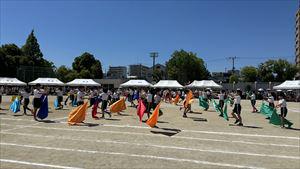 image_50400769_R.JPG