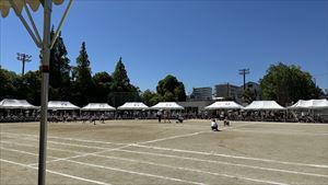 image_50404353_R.JPG