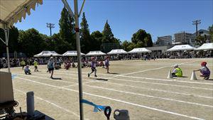 image_50428929_R.JPG