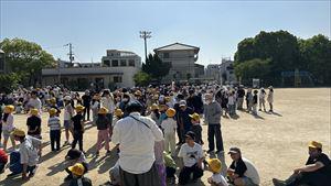 image_50438401_R.JPG