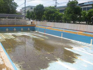 IMG_0286_R.JPG