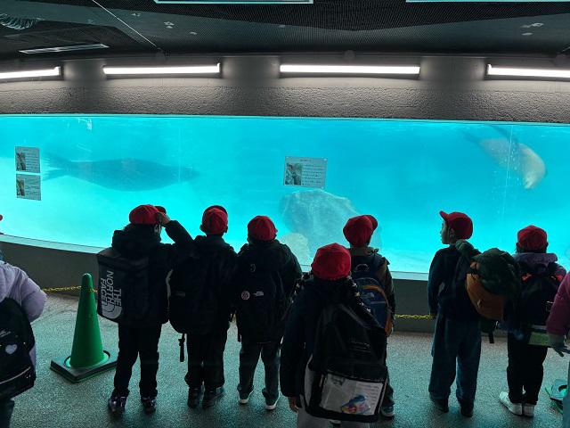 0212 1年校外学習（１）.jpg