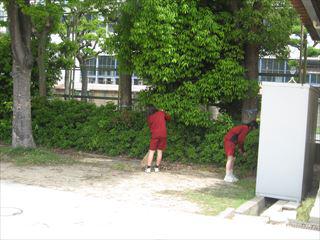 800101-000005_R.JPG