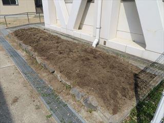 IMG_1355_R.JPG